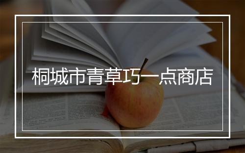 桐城市青草巧一点商店