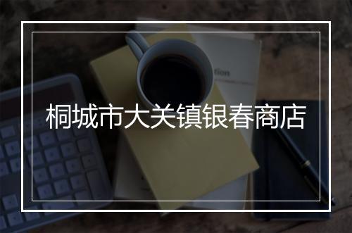 桐城市大关镇银春商店