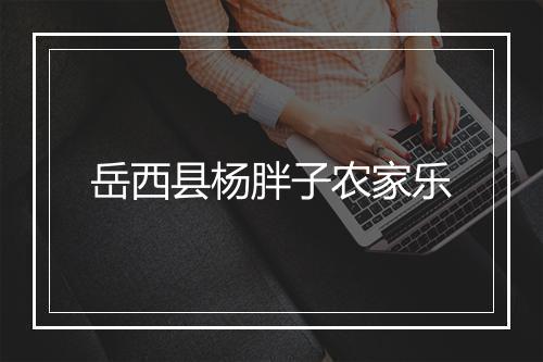 岳西县杨胖子农家乐