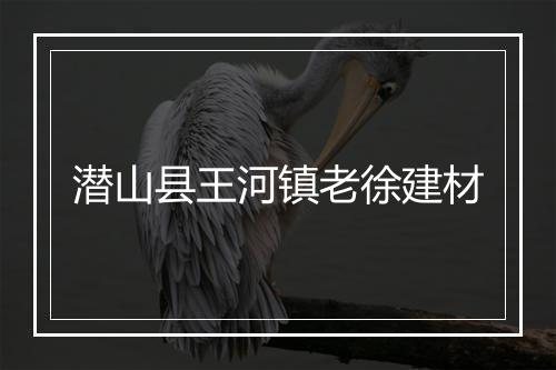 潜山县王河镇老徐建材