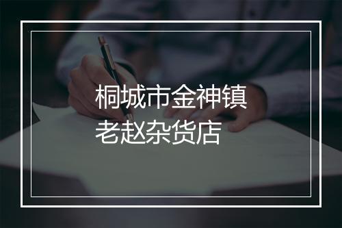 桐城市金神镇老赵杂货店