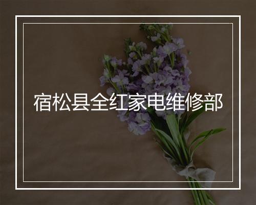 宿松县全红家电维修部