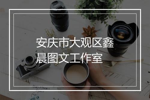 安庆市大观区鑫晨图文工作室