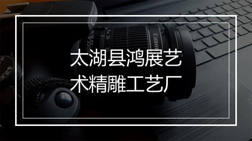 太湖县鸿展艺术精雕工艺厂