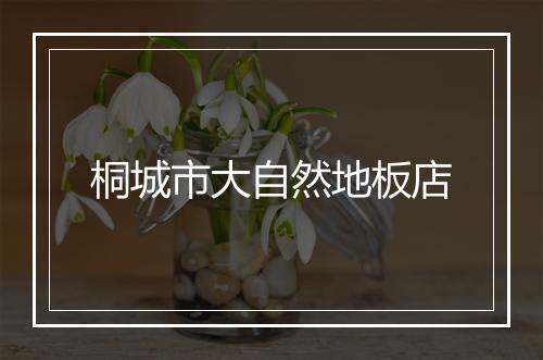 桐城市大自然地板店