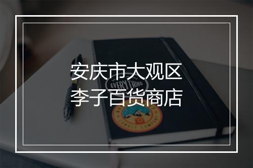 安庆市大观区李子百货商店