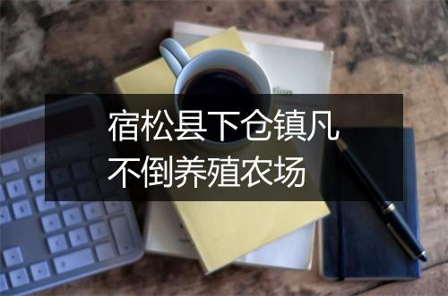 宿松县下仓镇凡不倒养殖农场