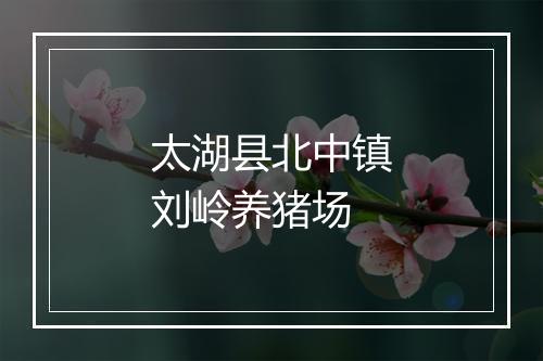 太湖县北中镇刘岭养猪场