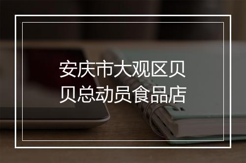 安庆市大观区贝贝总动员食品店