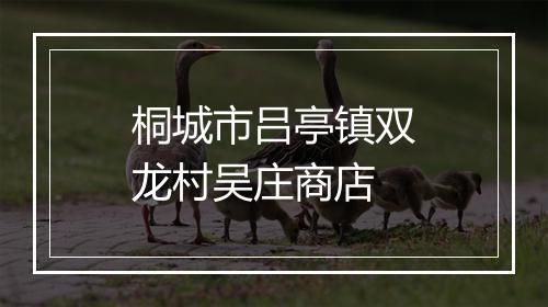 桐城市吕亭镇双龙村吴庄商店