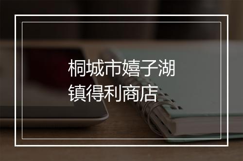 桐城市嬉子湖镇得利商店