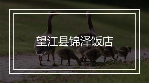 望江县锦泽饭店