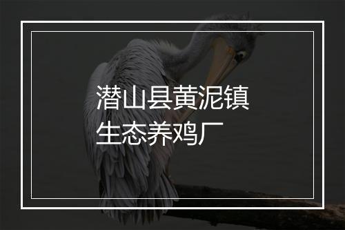 潜山县黄泥镇生态养鸡厂