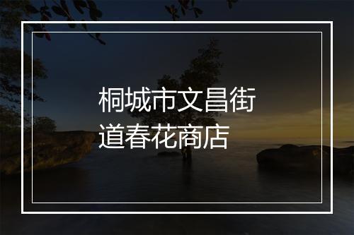 桐城市文昌街道春花商店