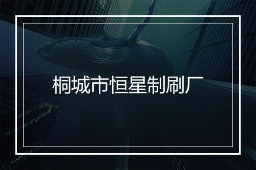 桐城市恒星制刷厂