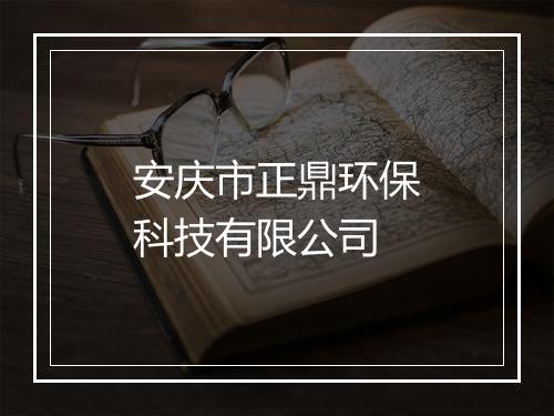 安庆市正鼎环保科技有限公司