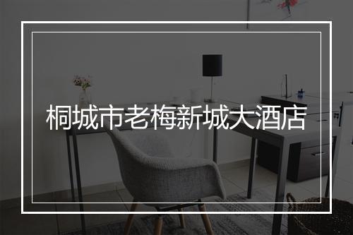 桐城市老梅新城大酒店