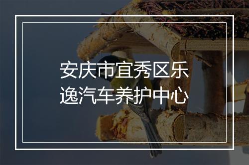 安庆市宜秀区乐逸汽车养护中心