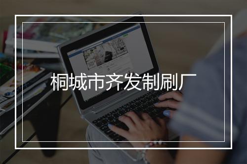 桐城市齐发制刷厂