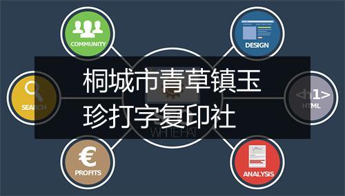 桐城市青草镇玉珍打字复印社