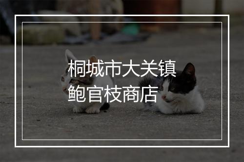 桐城市大关镇鲍官枝商店