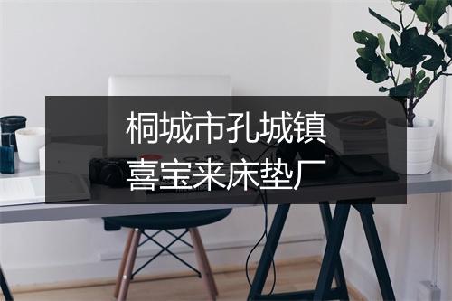 桐城市孔城镇喜宝来床垫厂