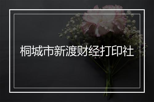 桐城市新渡财经打印社