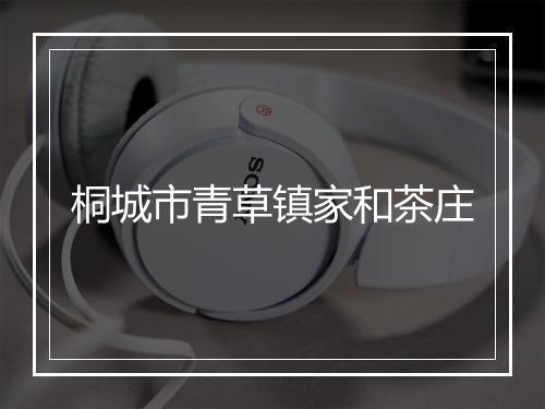 桐城市青草镇家和茶庄