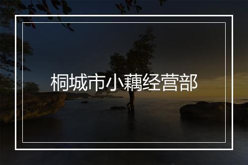 桐城市小藕经营部