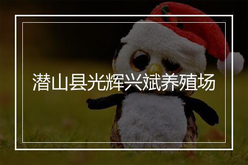 潜山县光辉兴斌养殖场