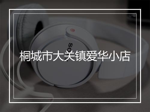 桐城市大关镇爱华小店