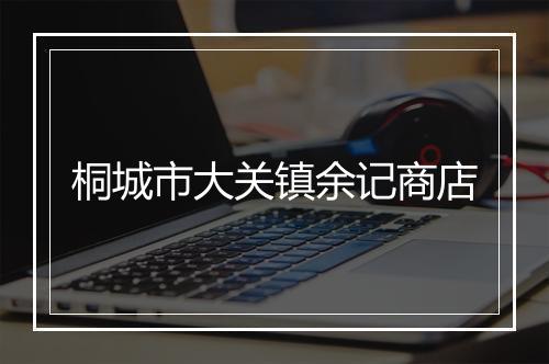 桐城市大关镇余记商店