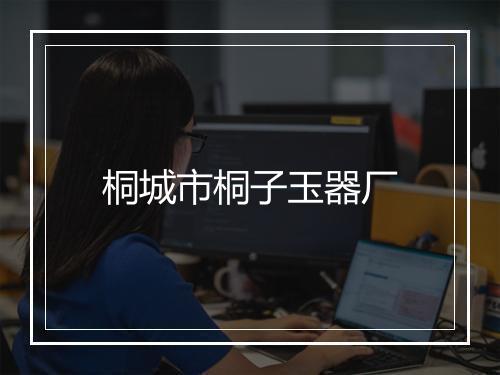 桐城市桐子玉器厂