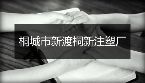 桐城市新渡桐新注塑厂