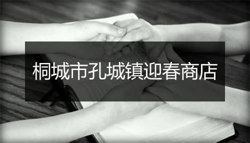 桐城市孔城镇迎春商店
