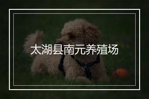 太湖县南元养殖场