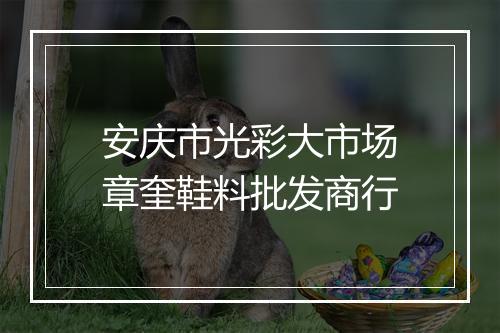 安庆市光彩大市场章奎鞋料批发商行