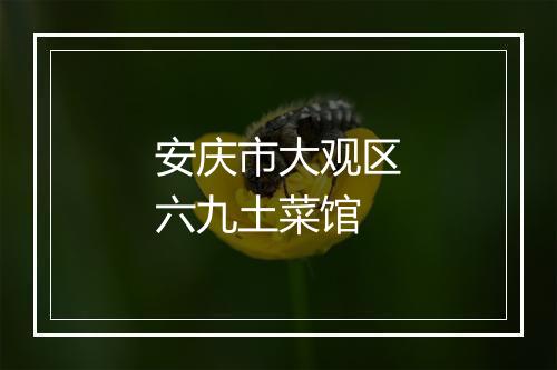 安庆市大观区六九土菜馆
