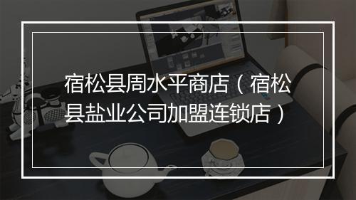 宿松县周水平商店（宿松县盐业公司加盟连锁店）