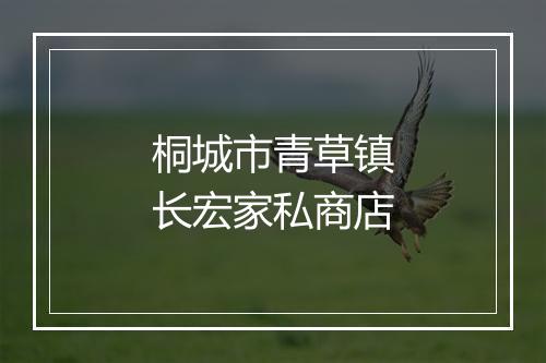 桐城市青草镇长宏家私商店