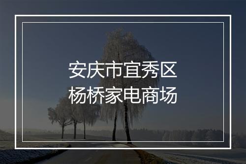 安庆市宜秀区杨桥家电商场