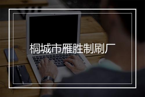 桐城市雁胜制刷厂