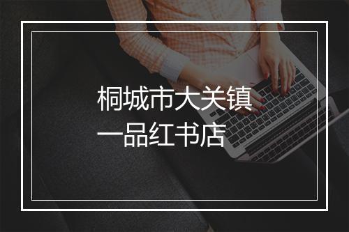 桐城市大关镇一品红书店