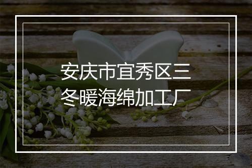 安庆市宜秀区三冬暖海绵加工厂