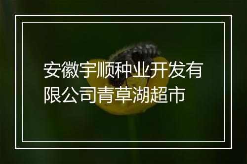 安徽宇顺种业开发有限公司青草湖超市