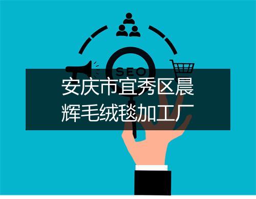 安庆市宜秀区晨辉毛绒毯加工厂