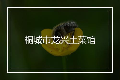 桐城市龙兴土菜馆