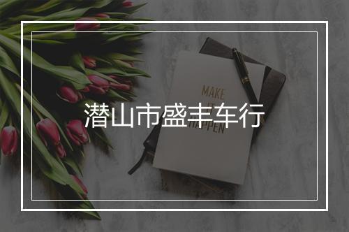 潜山市盛丰车行