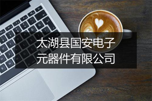 太湖县国安电子元器件有限公司
