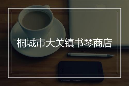 桐城市大关镇书琴商店
